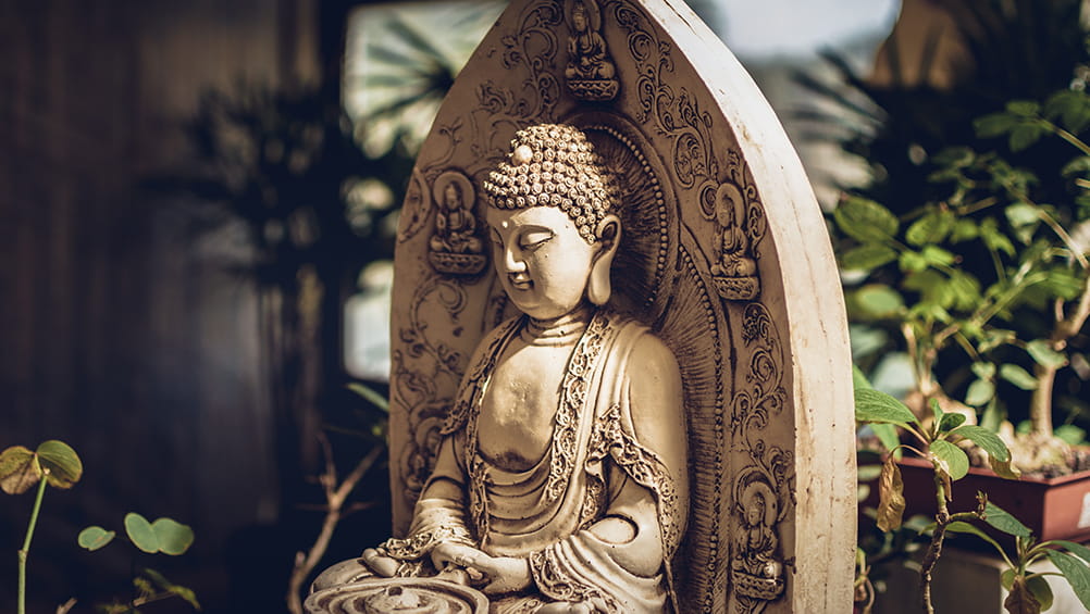Spirituality in Medicine |Buddhism