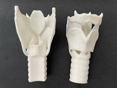 Image of a 3D-printed larynx that was given to each student who attended this workshop. (Image originally posted by students to their program's Instagram page @iumsaprogram) 