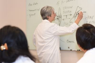 Lynda Bonewald drawing a bone diagram on the whiteboard while teaching