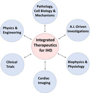 Diagram of Integrated Therapeutics for the Ischemic Heart Disease Research Program includes: Pathology, Cell Biology & Mechanisms; AI-Driven Investigations, Biophysics & Physiology; Cardiac Imaging; Clinical Trials; and Physics & Engineering. 