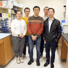 Han Lab research group from the Wells Center