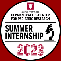 graphic that says Herman B Wells Center for Pediatric Research Summer Internship 2023