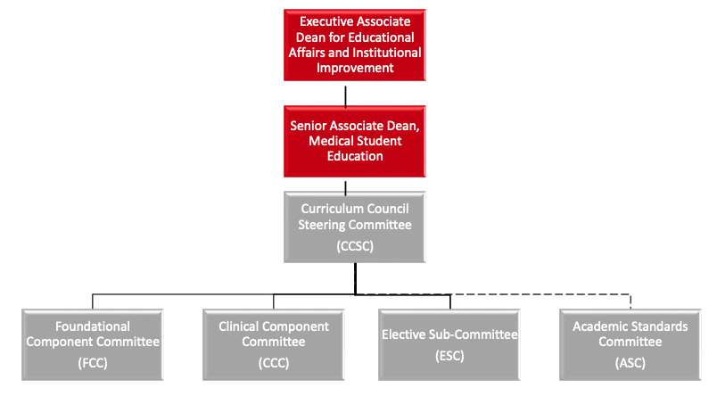 A graphic showing the hierarchy of members in the Curriculum Council. At the top, Executive Associate Dean for Educational Affairs and Institutional Improvement, then Senior Associate Dean, Medical Student Education. Next is  Curriculum Council Steering Committee (CCSC), and in a row beneath that is Foundational Component Committee, Clinical Component Committee, Elective Sub-Committee, and Academic Standards Committee.