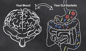 an illustration on a chalkboard shows a brain on the left and the gastrointestinal system on the right. Text and arrows show that your mood and your gut bacteria are directly related.
