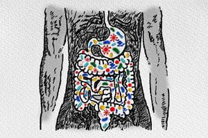 an illustration shows a human torso with gastrointestinal system highlighted. multi-colored bacteria populate the organs.