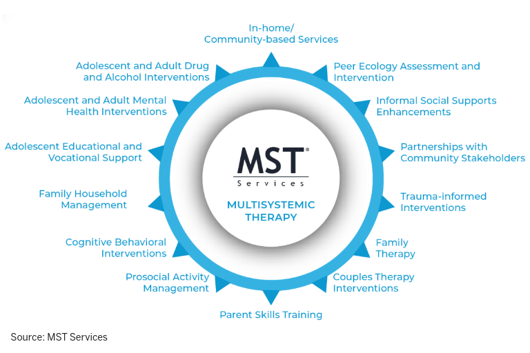 MST's comprehensive services
