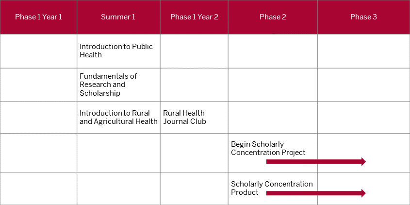 This table shows that the first three topic specific courses should be completed during the summer between first and second year of med school. The fourth topic specific course should be taken during phase one in year two. The two remaining courses, project and product, are longitudinal. The project and product should begin during phase two and conclude on or before the end of fourth year.