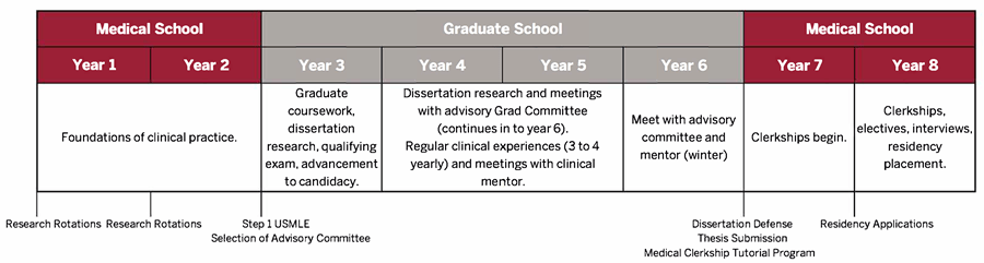 table of MD/PhD curriculum with foundations of clinical practice in medical school taking place in years 1 and 2, graduate school coursework and research in years 3-6, and medical school clerkships and electives in years 7 and 8.