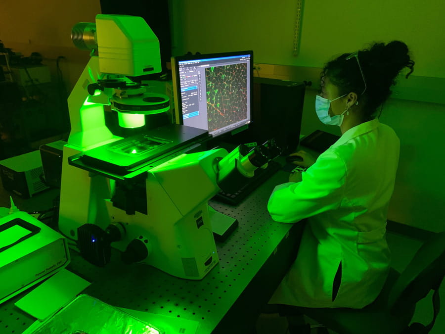 a person looks at an image from a microscope. the lab is bathed in green light.