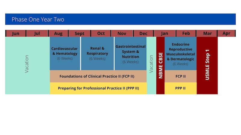 Schematic for Phase 1 Year 2. June - July: Vacation; August to mid-Dec: CH, Renal&Resp, Gast Syst, FCPII, Preparing for Pro Practice II; mid-Dec: Vacation; mid-Jan: NBME CBSE, mid-Jan - Feb: Endo, Musc&Derm, FCPII, PPPII; Mar: USMLE Step 1