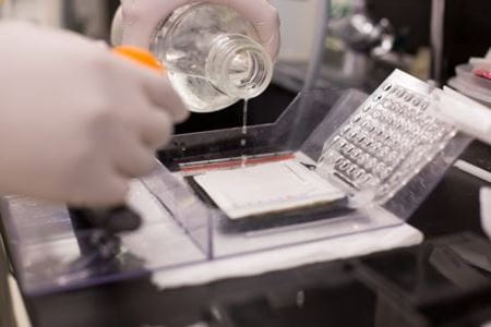 a close up photo of gloved hands preparing a sample in the lab