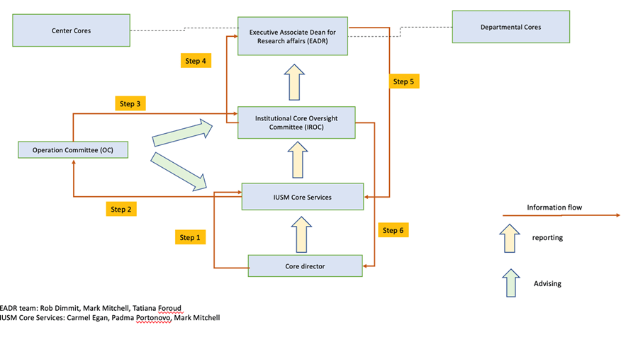 flowchart of reporting process